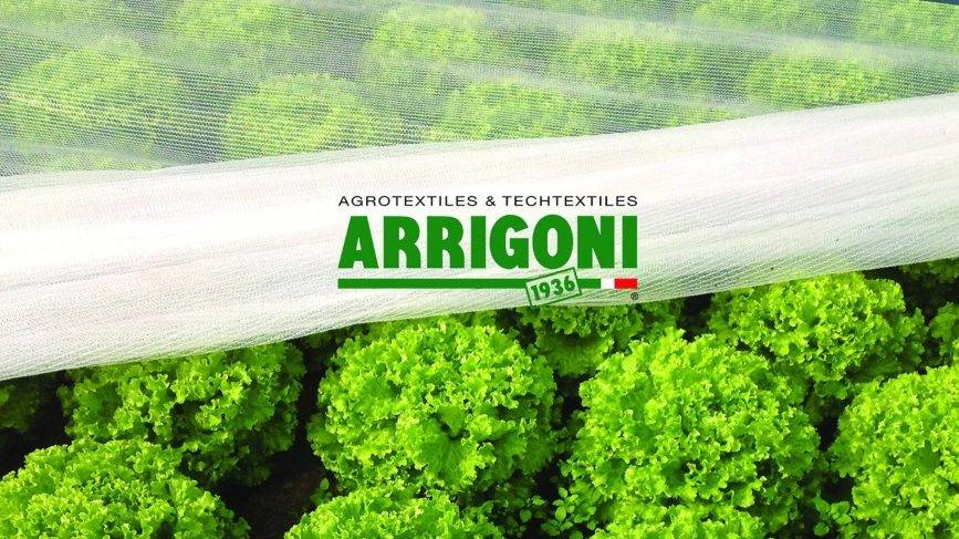 Arrigoni|Paolo Arrigoni
